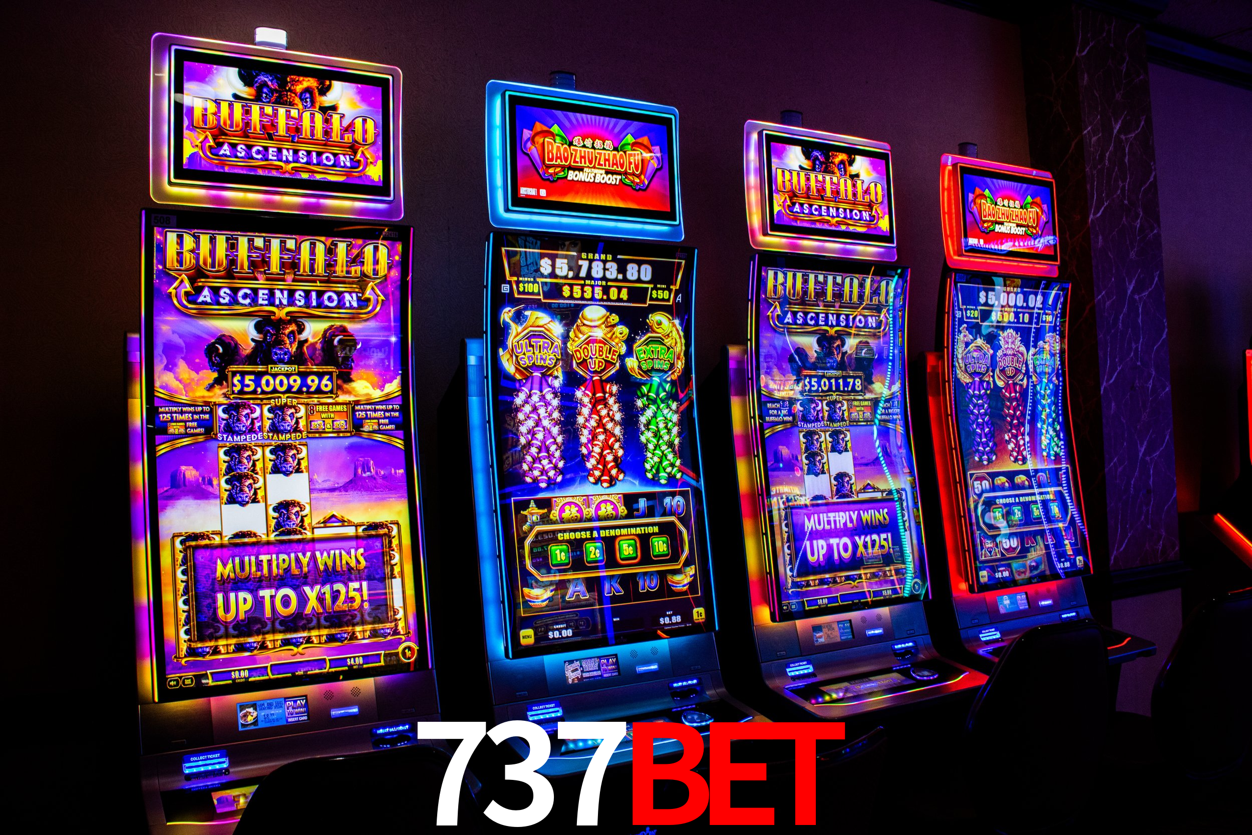 737Bet
